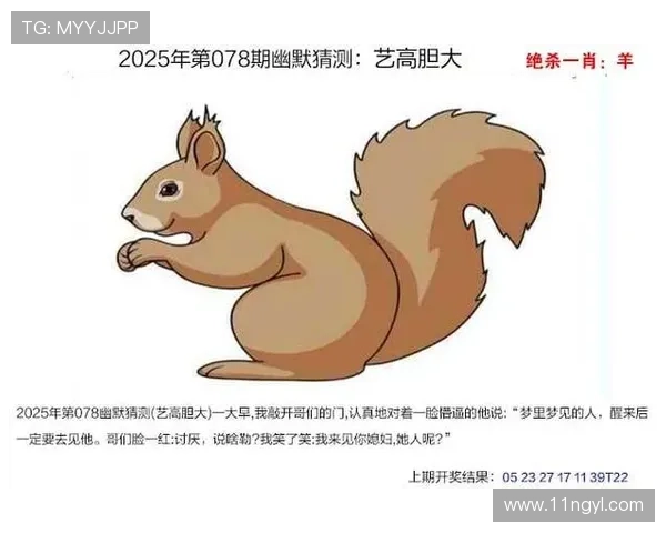 今日澳门新彩网最新开奖结果查询与分析